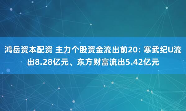 鸿岳资本配资 主力个股资金流出前20: 寒武纪U流出8.28亿元、东方财富流出5.42亿元
