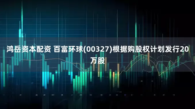 鸿岳资本配资 百富环球(00327)根据购股权计划发行20万股