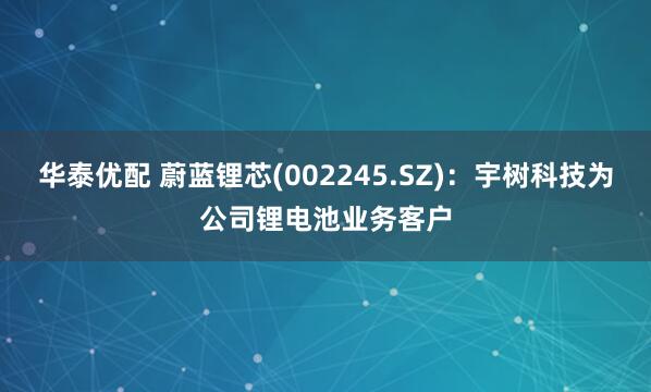 华泰优配 蔚蓝锂芯(002245.SZ)：宇树科技为公司锂电池业务客户