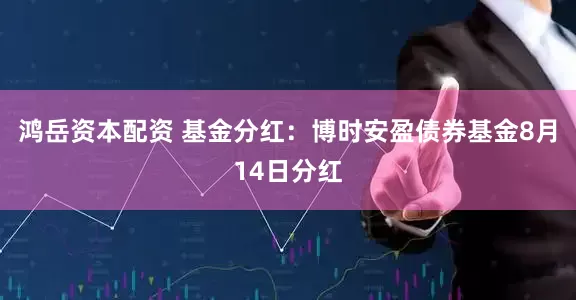 鸿岳资本配资 基金分红：博时安盈债券基金8月14日分红