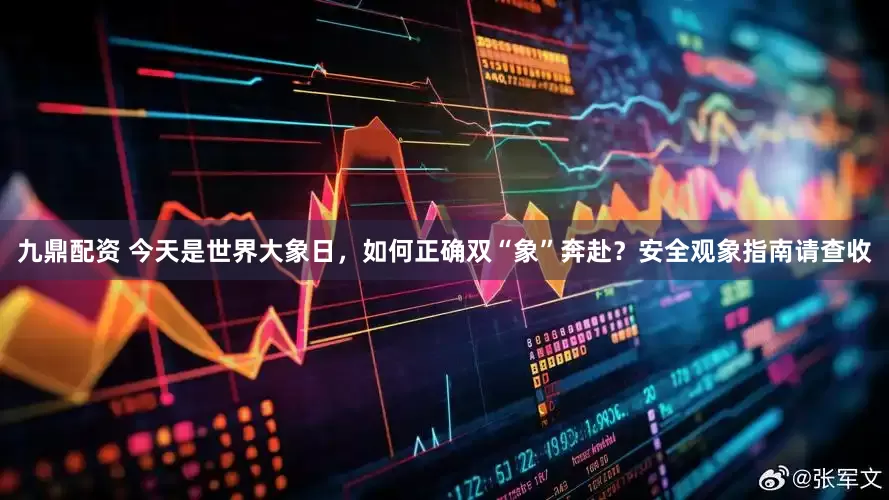 九鼎配资 今天是世界大象日，如何正确双“象”奔赴？安全观象指南请查收