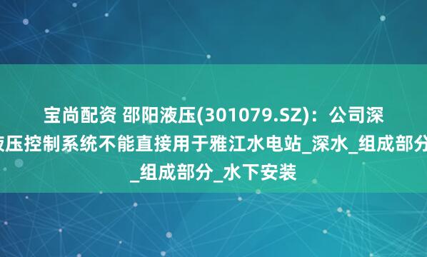 宝尚配资 邵阳液压(301079.SZ)：公司深海机器人液压控制系统不能直接用于雅江水电站_深水_组成部分_水下安装