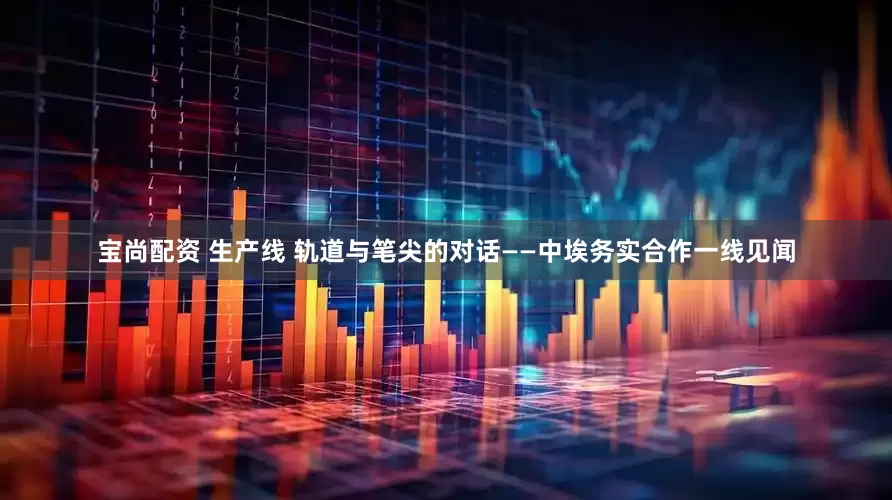 宝尚配资 生产线 轨道与笔尖的对话——中埃务实合作一线见闻